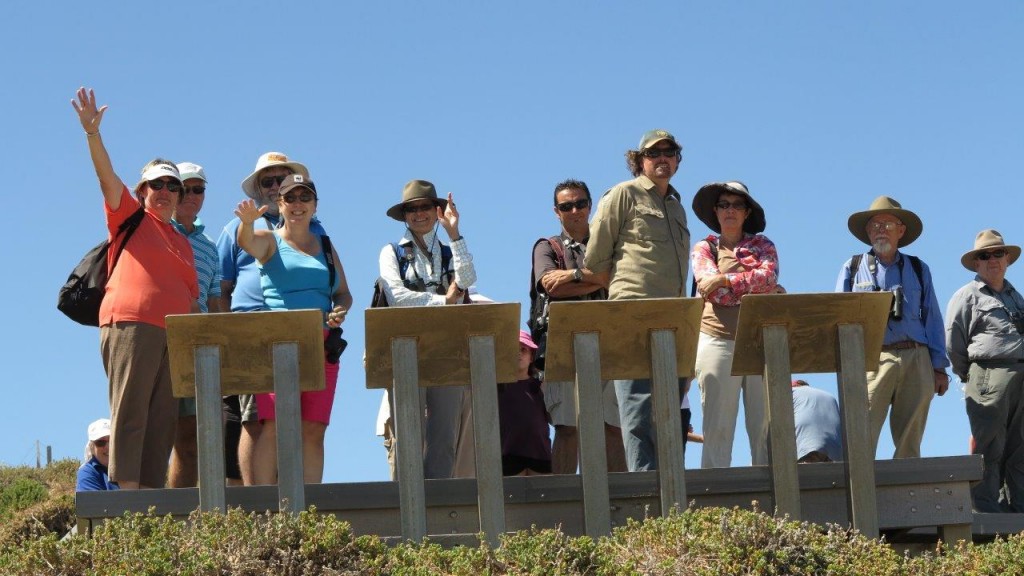 1 DRB nats penguin Island March