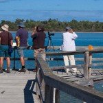 Lake Clifton: Colin Prickett