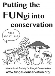 T-shirts for fundraising