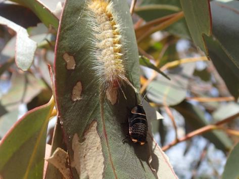 P9272071 cropped.jpg