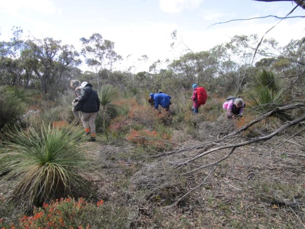 DRB Photographers in paradise in Twin Creeks JPG.JPG