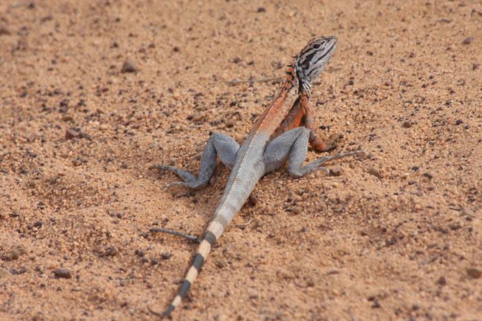 J:\BACKUP\170919 t 25 Helena and Aurora LRX\animals\170919 IMG_9468.JPG