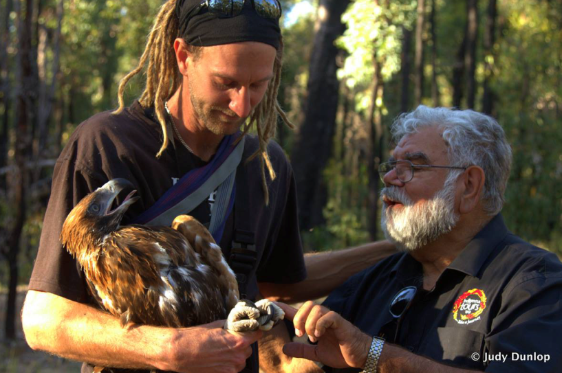 Simon Cherriman with Dr Noel Nannup naming one of his Eagles Yirrabiddi, __Trail in the sky__by Judy Dunlop.png