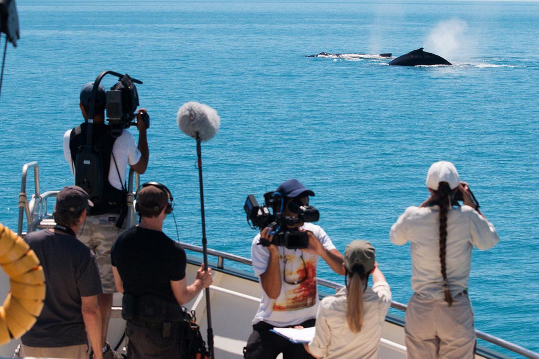 12 Crew filming Humpback whales in Buccaneer Archipelago.jpg
