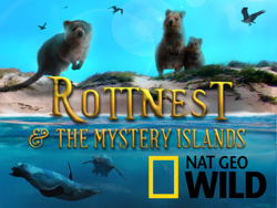 id:image001.png@01D31120.7B5C0450