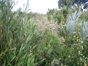 C:\Users\donp\Pictures\2018-09-06 001\IMG_1383.JPG