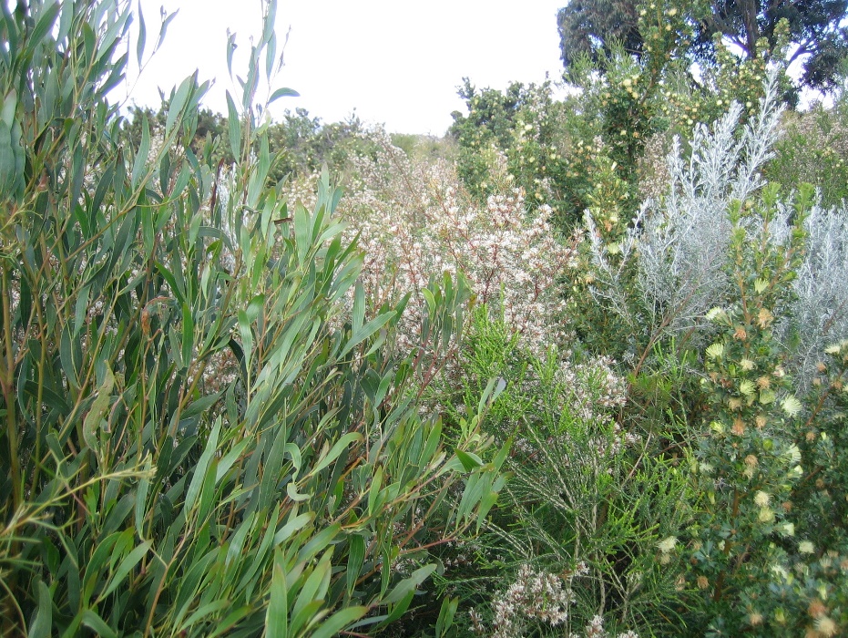 C:\Users\donp\Pictures\2018-09-06 001\IMG_1383.JPG