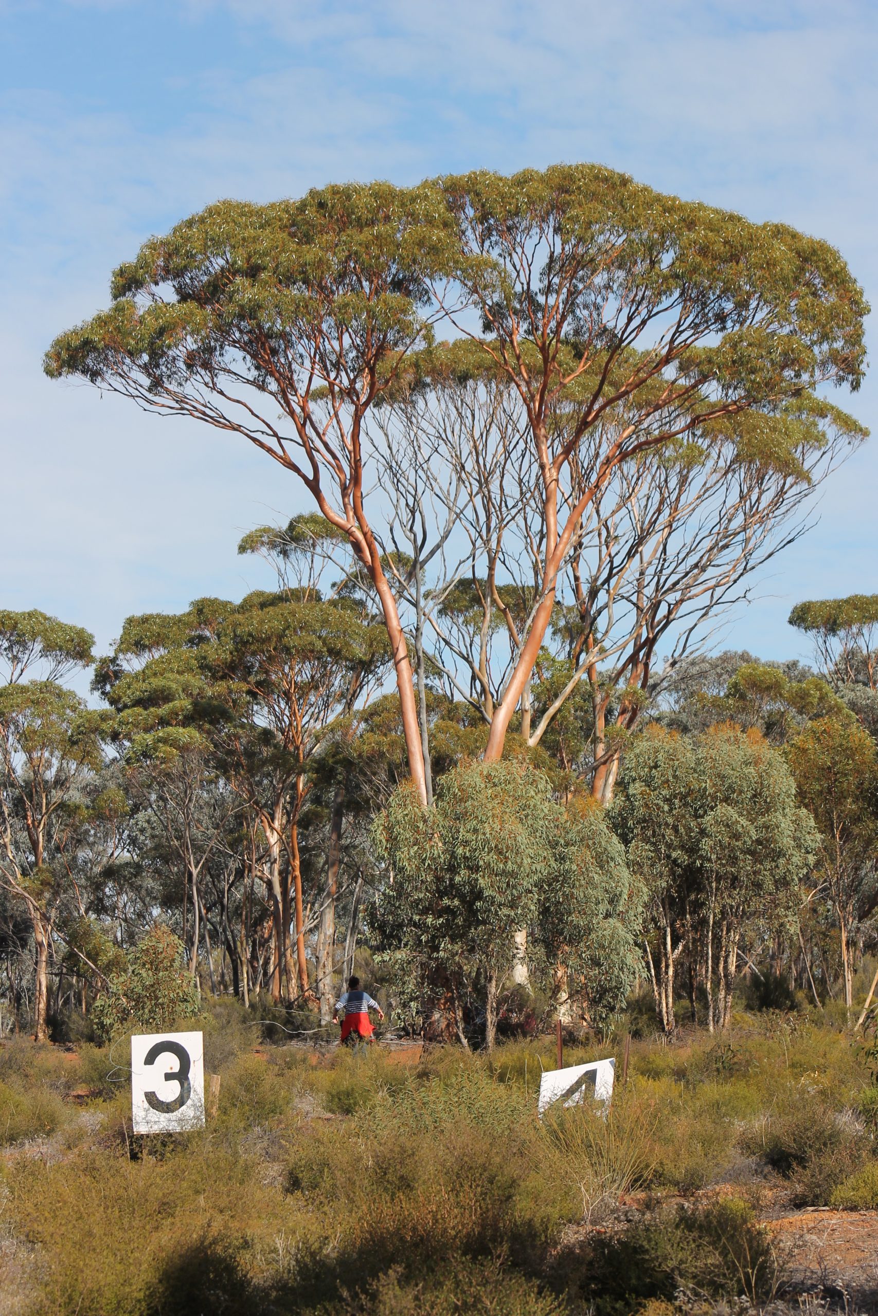 IMG_7291 | Western Australian Naturalists Club