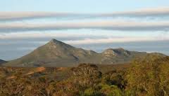 C:\Users\OBRIEN\Pictures\Pictures\paringa for sale\pa5.jpg