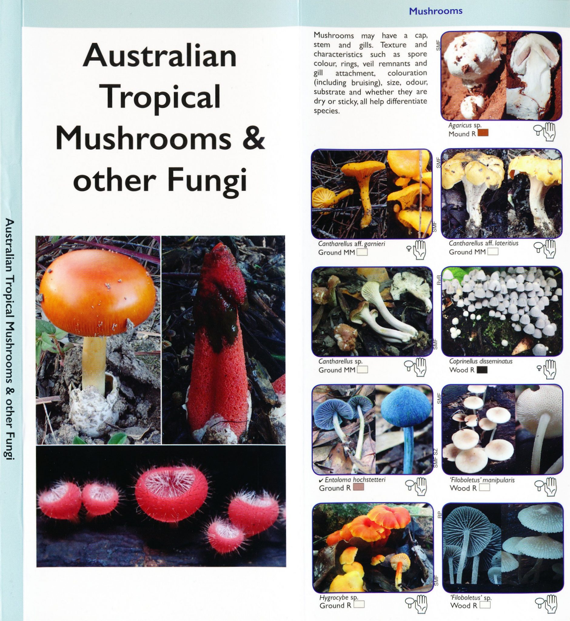 Australian Tropical Mushrooms & other Fungi Western Australian Naturalists Club