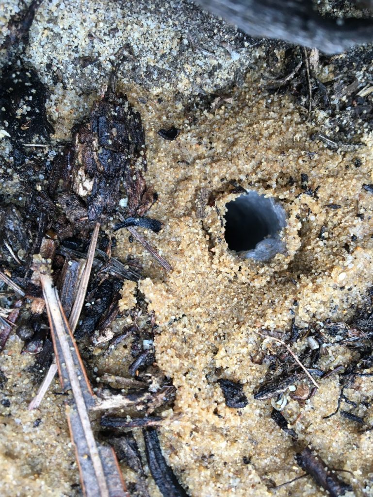 C:\Users\donp\Pictures\2020-09-26 001\IMG_4494.JPG