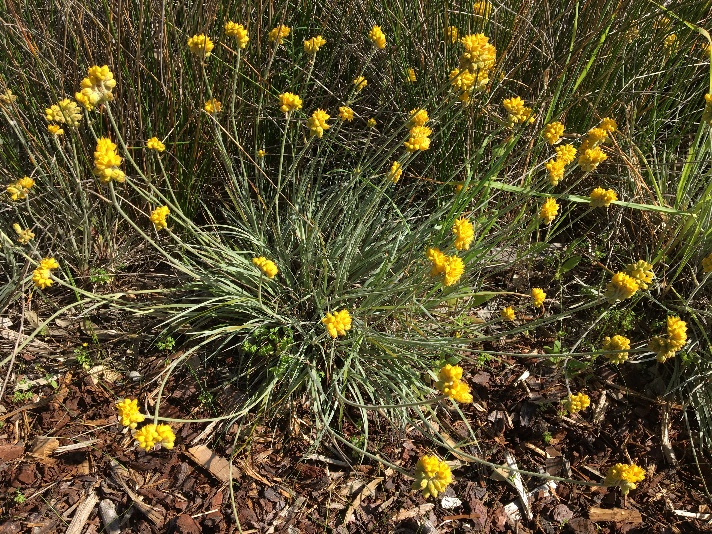 C:\Users\donp\Pictures\2020-09-26 005\IMG_4470.JPG