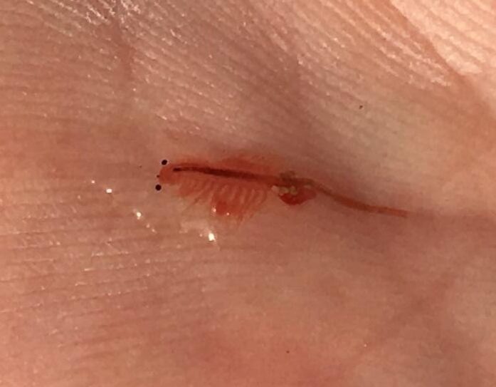 K:\NSB\2021\202105\2021-05-27 001\IMG_5679.JPG