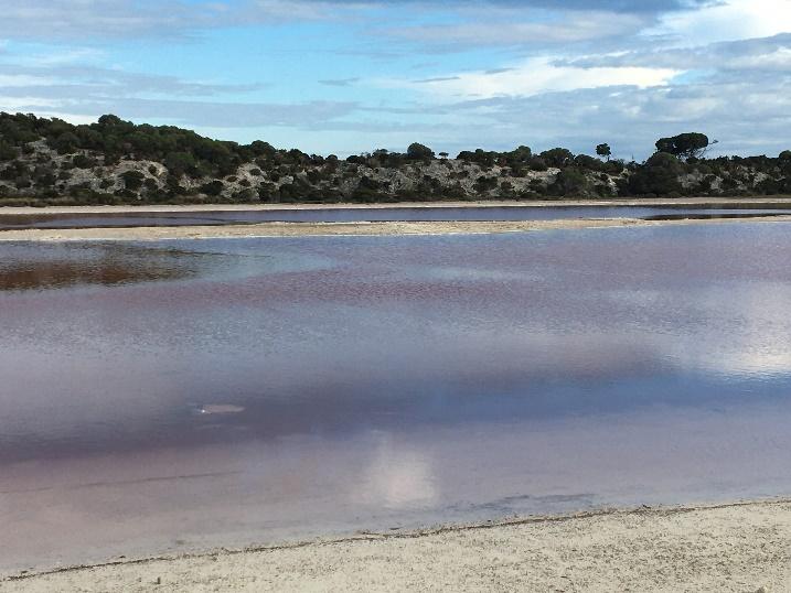 K:\NSB\2021\202105\2021-05-27 001\IMG_5684.JPG