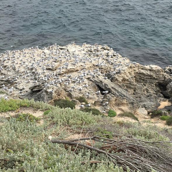 K:\NSB\2021\202105\2021-05-27 003\IMG_5666.JPG