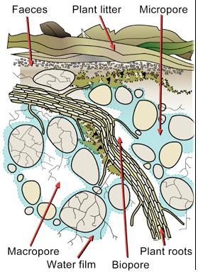 Diagram
Description automatically generated