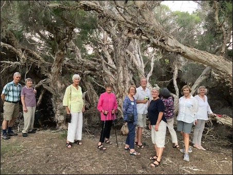 A group of people standing under a tree Description automatically generated with medium confidence
