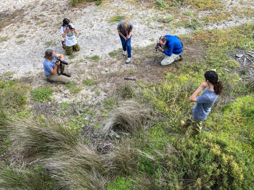 A group of people taking pictures Description automatically generated with low confidence
