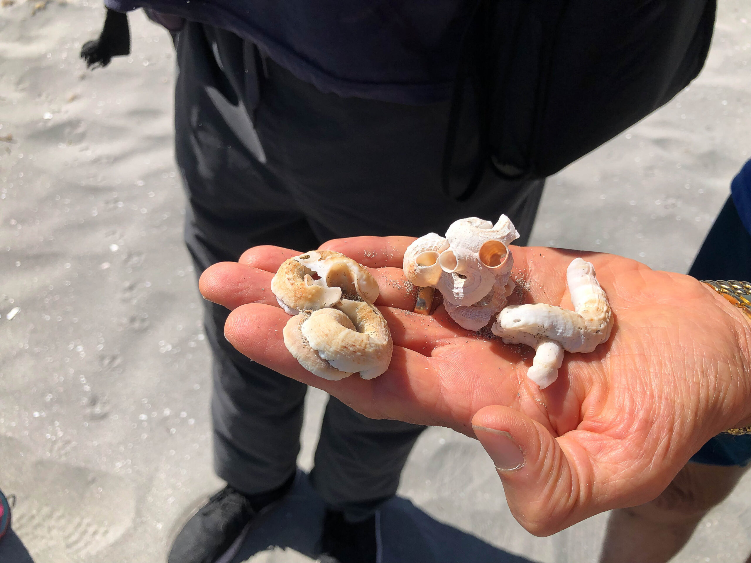 A picture containing person, outdoor, ground Description automatically generated