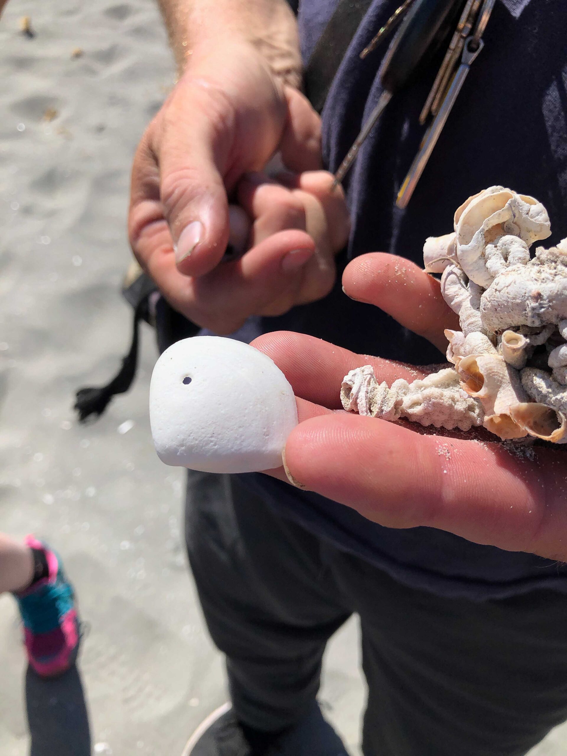 A picture containing person, outdoor, hand Description automatically generated