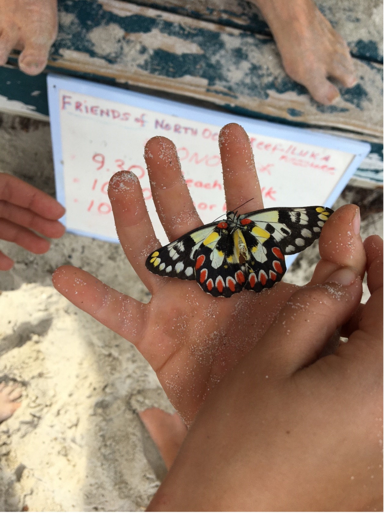 A picture containing text, person Description automatically generated