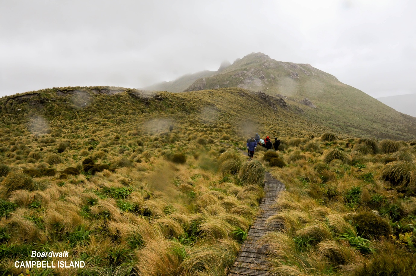 A group of people walking on a dirt path in a hilly area Description automatically generated with low confidence