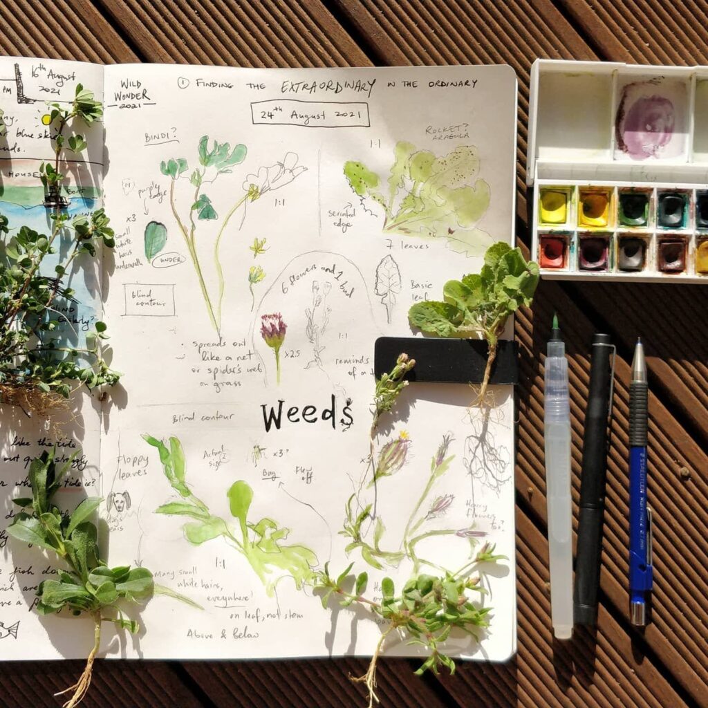 Nature Journaling with Kim Lapere Western Australian