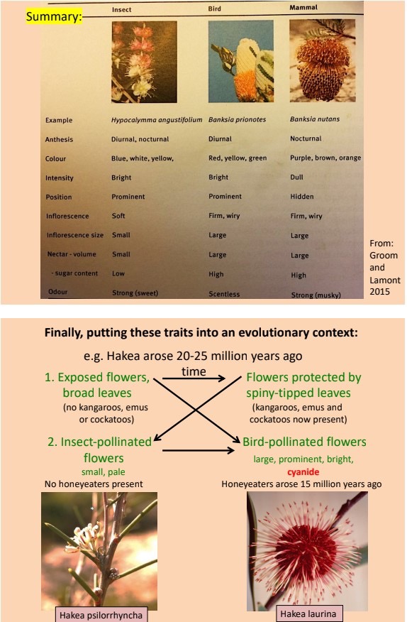 Diagram

Description automatically generated with medium confidence