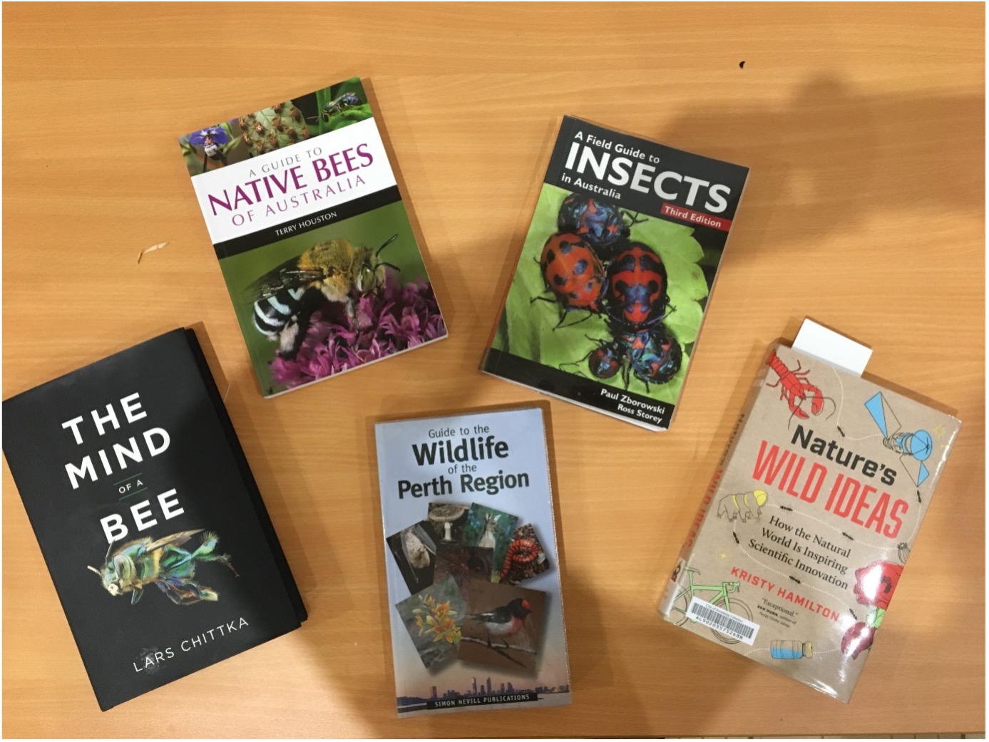 A group of books on a table

Description automatically generated