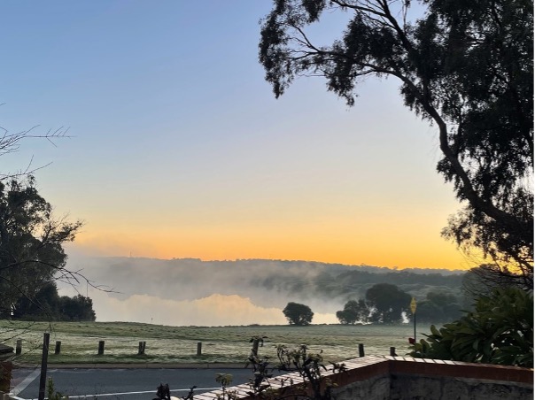 A foggy landscape with trees and a road

Description automatically generated