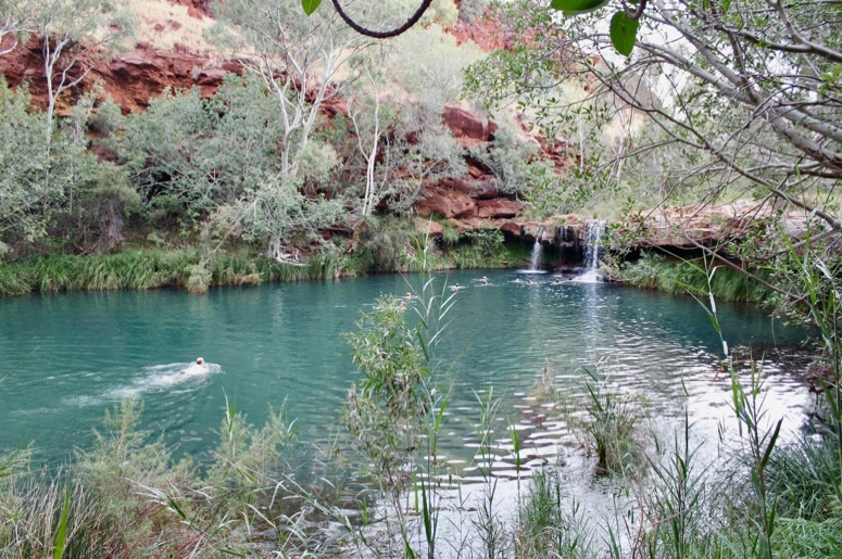 A picture containing outdoor, plant, water, tree
Description automatically generated