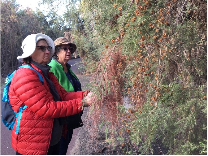 A group of women looking at a tree Description automatically generated