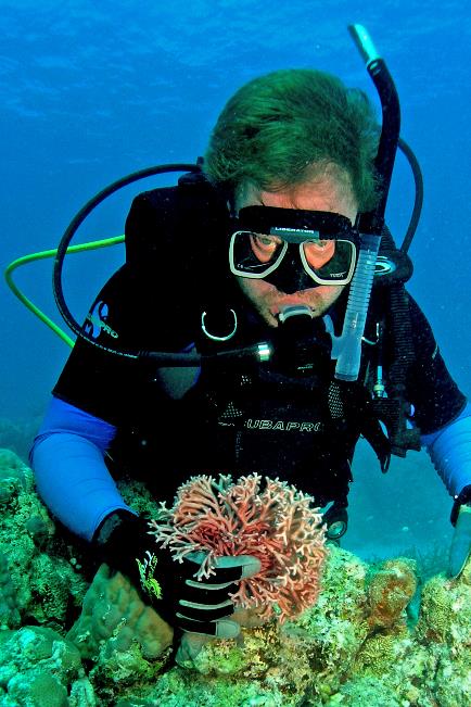 A person in scuba gear holding a coral Description automatically generated