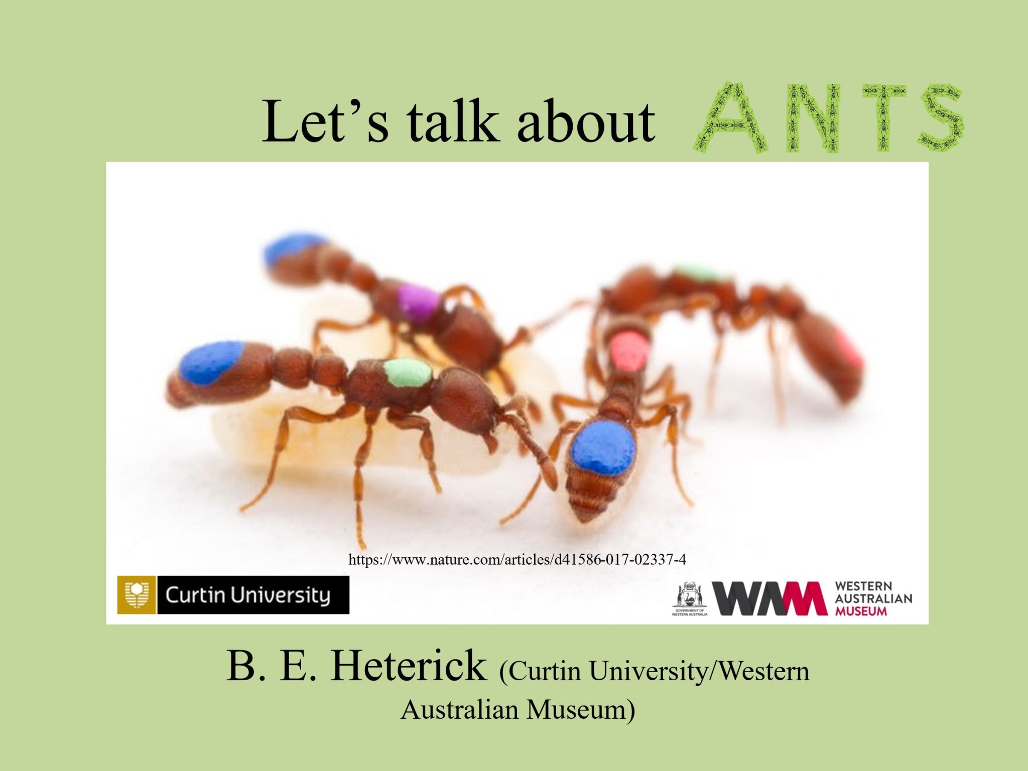 Let’s Talk About Ants | Western Australian Naturalists Club