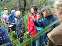 DRB members in Twink’s garden.